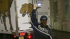 T-Rex Arrives At Smithsonian