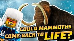 LEGO City | Could Mammoths Come Back to Life? - LEGO City & National Geographic Kids