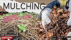 MULCHING - Basics & types of mulch