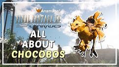 FFXV Comrades - All About Chocobos / Unlock, Catch and Raising Guide