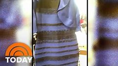 The Dress Debate SETTLED: Black And Blue - Or White And Gold? | TODAY