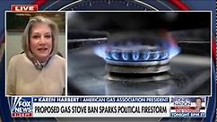 FIERY DEBATE: The president of the American Gas Association torches the proposed gas stove ban: "No, we should not be banning natural gas stoves."