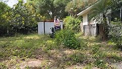 I KNOCKED on this RANDOM HOMEOWNERS door and GAVE her Neglected yard a FREE MAKEOVER [HEARTWARMING] [FULL VIDEO] #satisfying #cleaning #relax #removal #fyp #albladez