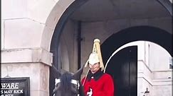 Kings Guards of Buckingham Palace #creatorsearchingsight #buckinghampalace #kingsguards #london #fourhorsemen
