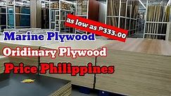 Magkano ang Presyo ng Plywood|Marine & Ordinary Plywood|Metal Furring Price