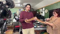 Reptile shop opens near Great Falls
