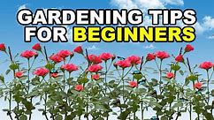 Gardening tips for beginners