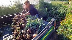 Day 2 of Paver Installation Around the Pond + Harvesting Onions & Planting Random Pretty Things!