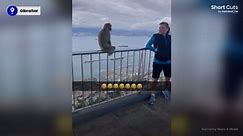 Angry Barbary macaque doesn't want photo with tourist