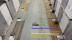 Stout's Discount Carpet PureTech Plus