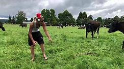 NZ Farming - Just wondering if y’all wanted to share this...