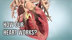 Anatomy & physiology of Human heart: 3D medical animation