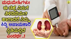 How can Diabetes affect your Kidneys? in kannada | diabetic kidney disease symptoms in kannada