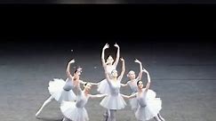 Funny ballet 👉 Vienna State Opera 😍 #funnyballet #ballet