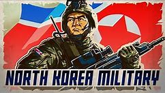 North Korea's Modern Military | Animated History