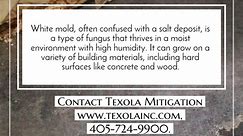 #remediation #mold #restoration... - Texola Mitigation