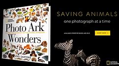 National Geographic Photo Ark Wonders: Celebrating Diversity in the Animal Kingdom