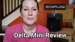Review of the Ecoflow Delta Mini Portable Electric Generator