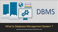 What Is Database Management System ? | What Is DBMS ?