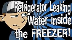 My Refrigerator is Leaking Water Inside the Freezer!