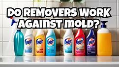 Testing Popular Mold Removal Products - Do They Really Work?