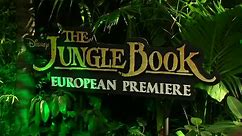 'The Jungle Book' reboot team say keen for sequel