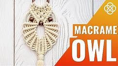 DIY Macrame owl wall hanging | Macrame diy | Easy macrame owl tutorial