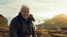 8 of the best David Attenborough documentaries and where to watch them