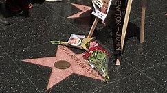 Olivia Newton-John fans mourn late star at Hollywood walk of fame