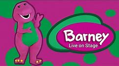 Barney Live on Stage at Vemdome Mall