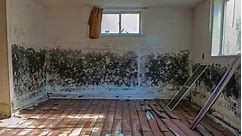 Mold fogging is a mold remediation option that can help eliminate and prevent mold growth in your home. EPA approved Biocides/fungicides that are safe on all surfaces. Removing mycotoxin carrying fine and ultra-fine particulate debris from the air using particulate suppression that can ease the mind of our clients. Safe to use in all environments (even medical) human and Pet safe as well. L&B is a Family owned company that has served the community of Rhode Island for over 20 years. We started ou