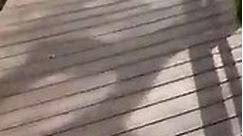 How to Resurface a Wood Deck with Trex Transcend® Composite Decking with Trex® Academy™