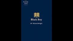 Plot overview of Black Boy by Richard Wright