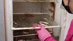 Cleaning a Very Dirty Fridge