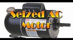 How To Fix a Seized AC Motor - Oscillating Greens Fan