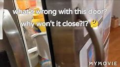 Refrigerator door won't close