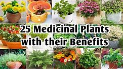25 Medicinal Plants with their Benefits | Best Medicinal Plants to grow | Plant and Planting