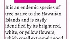 10 Prettiest Tropical Flowers From Hawaii