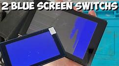Can I fix a bundle of Blue Screen Nintendo Switch's?