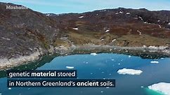 The world’s oldest DNA ever reveals a surprisingly lively Arctic