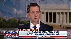 Sen. Tom Cotton: Biden invited foreign conflicts by 'tempting' US's enemies with 'weakness and concessions'