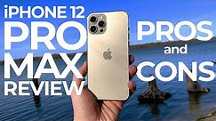 iPhone 12 Pro Max review: Pros and Cons