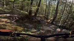 'Superman to Shrubs!' - Action-packed mountain-bike ride becomes memorable for the wrong reason
