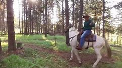 Saddle Up! Horseback riding in Yellowstone.