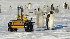 See the tiny robot that's spying on penguins in Antarctica