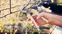 4 Basic Pruning Cuts, Demonstrated & Explained!