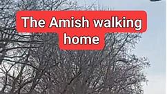 The Amish walking home. #amish #outdooradventures #amishlife #everyone #followers #blessed | Ellen MariaelenaB