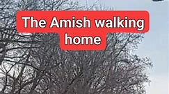The Amish walking home. #amish #outdooradventures #amishlife #everyone #followers #blessed | Ellen MariaelenaB