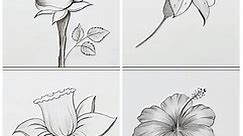 Let's learn how to draw flowers