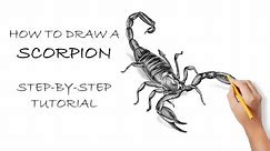Master The Art Of Drawing A Lifelike Scorpion: A Simple And Illustrated Pencil Guide